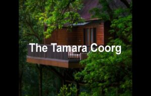 tamara coorg